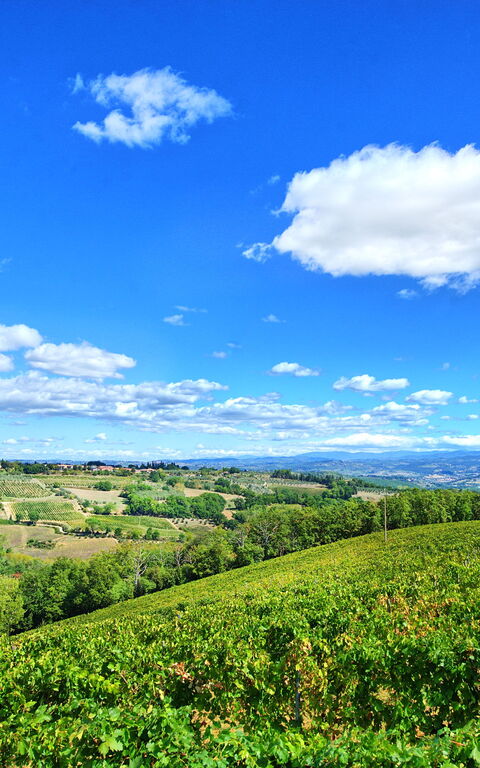 Montauto: Outdoor, Scenic View