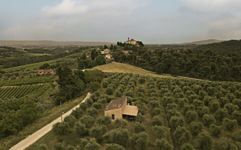 Accommodation Capanna: Scenic View