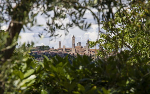 Accommodation Capanna: Scenic View