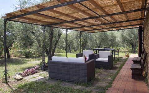 Accommodation Capanna: Building Exterior, Garden