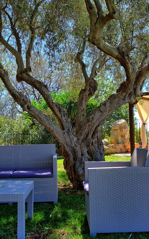 Villa Maddalena: Building Exterior, Garden, Outdoor