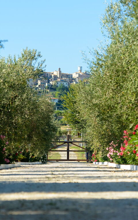 Villa Vittoria: Garden, Outdoor, Scenic View