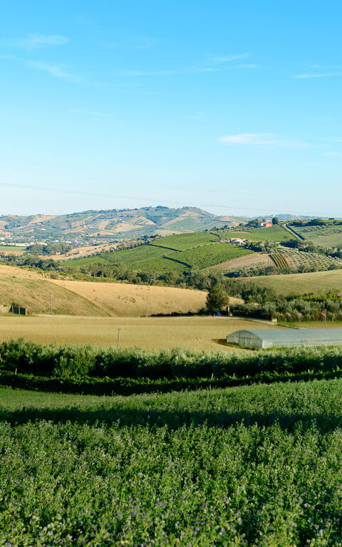 Villa Vittoria: Outdoor, Scenic View