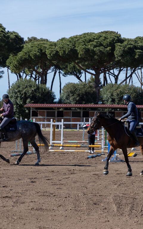 Villa Dolce Vita: Activities, Outdoor