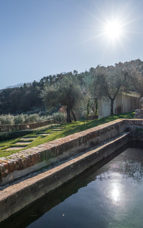 Villa Bellostare: Building Exterior, Garden, Outdoor
