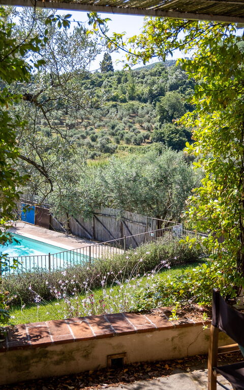 Villa Bellostare: Garden, Outdoor, Pool