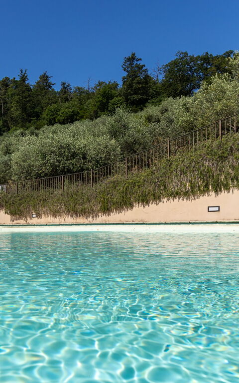 Villa Bellostare: Outdoor, Pool