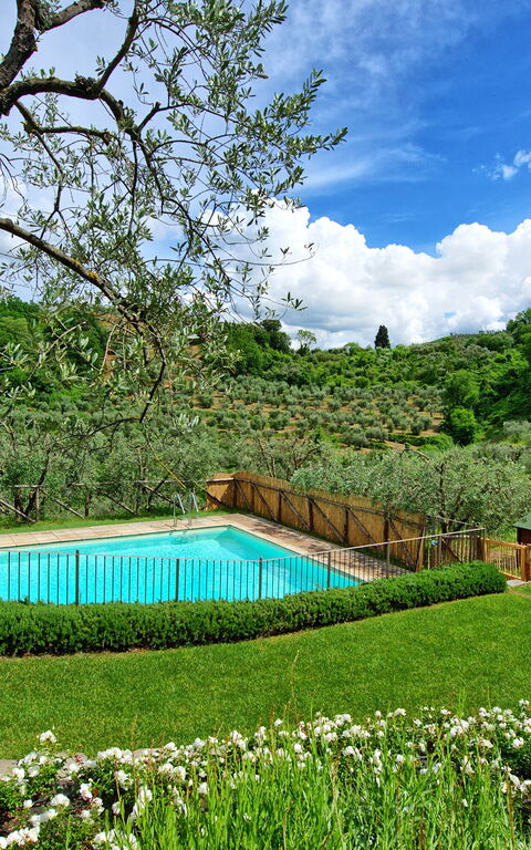 Villa Bellostare: Garden, Outdoor, Pool
