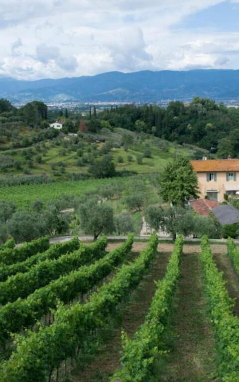 Bello Stare: Scenic View