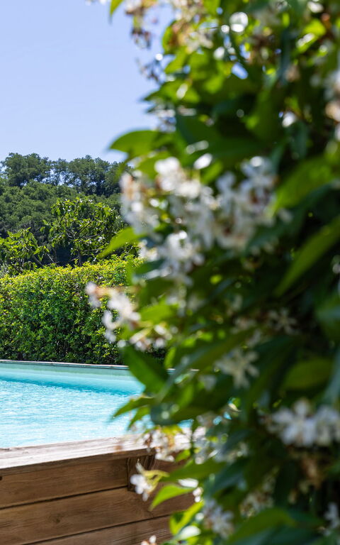 Bello Stare: Outdoor, Pool