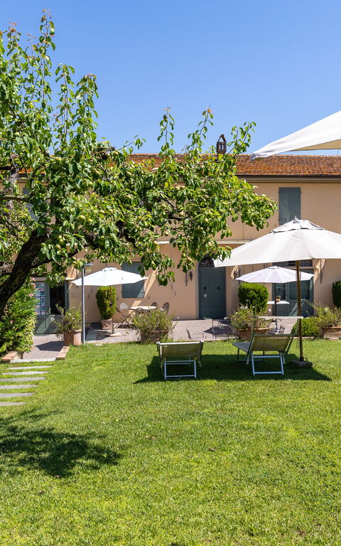 Bello Stare: Garden, Outdoor