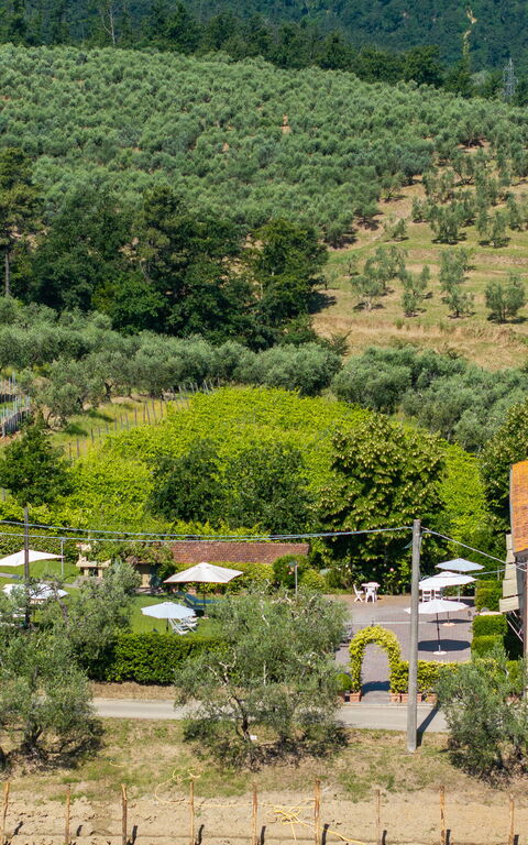 Bello Stare: Outdoor, Scenic View
