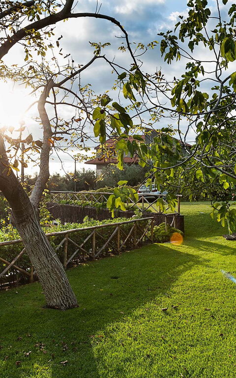 Villa Montefiore: Garden