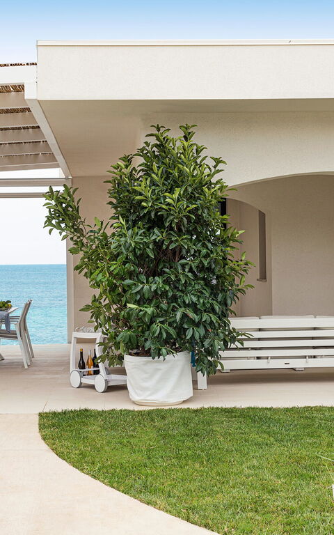 Villa Hermes: Building Exterior, Outdoor, Pool