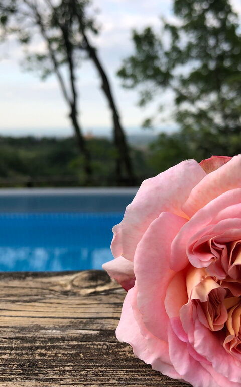 La Nocciola: Outdoor, Pool