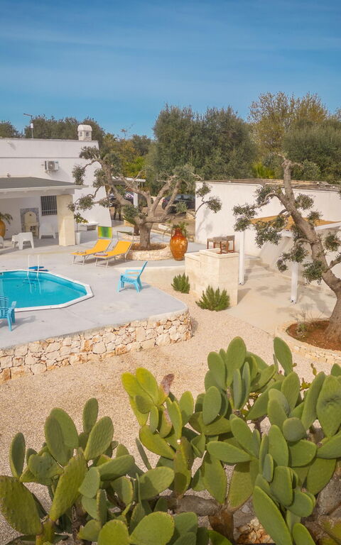 Villa Narkive: Garden, Main Entrance, Outdoor