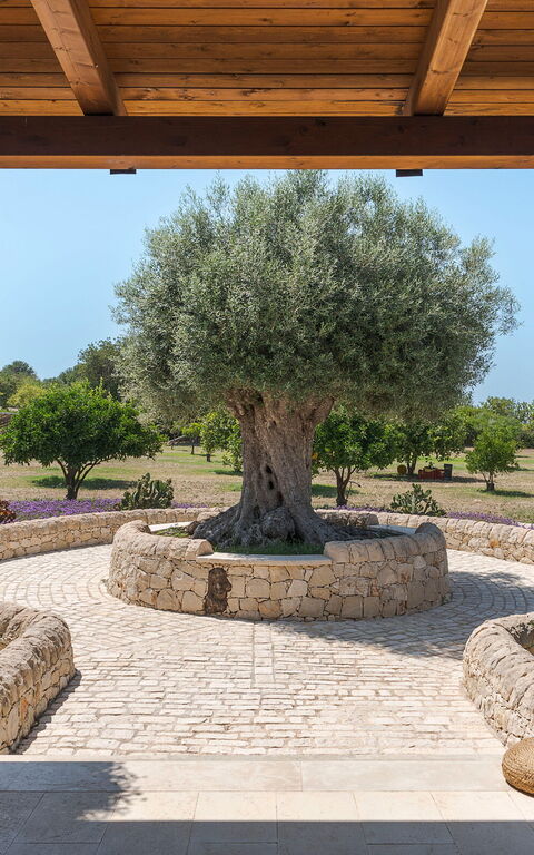 Pigna Blue: Building Exterior, Outdoor