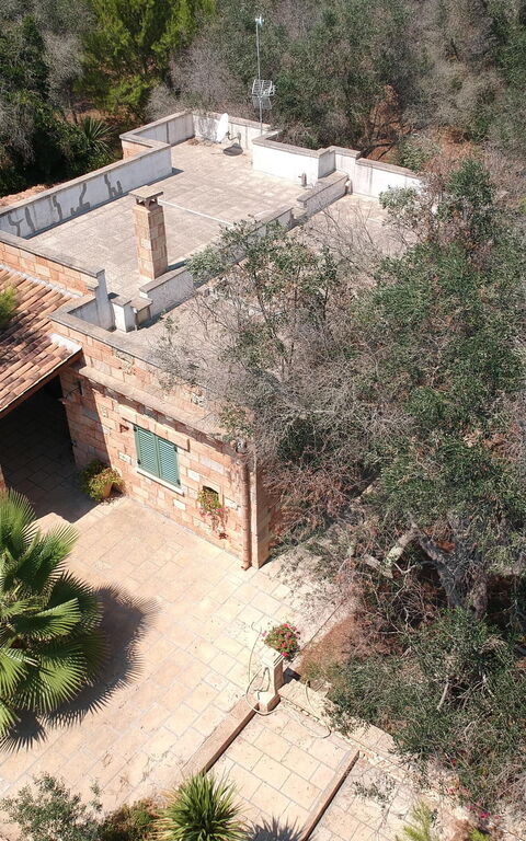 Villa Astrea: Garden, Outdoor