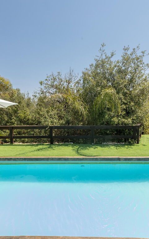 Villa Astrea: Garden, Pool