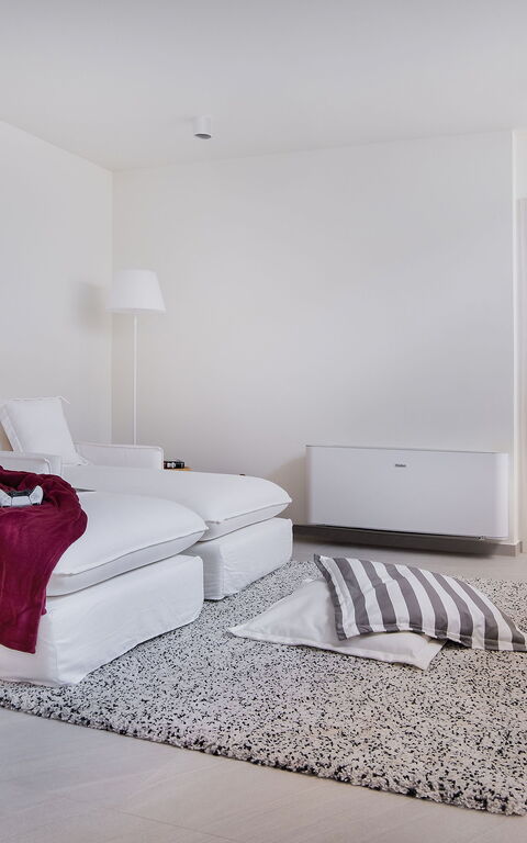 Villa Elektra: Common Room