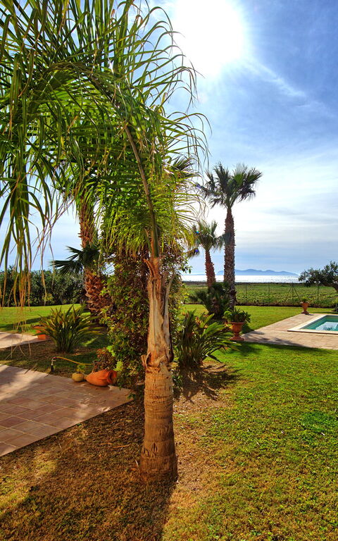 Villa Casale: Building Exterior, Garden, Outdoor, Pool