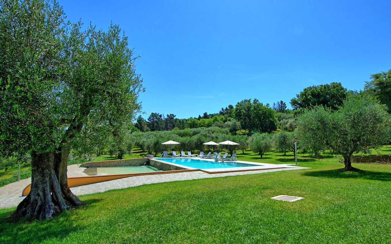 Villa Acquaviva: Garden, Outdoor, Pool, Summer