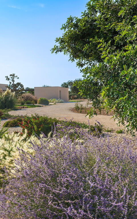 Villa Passo Salina: Garden