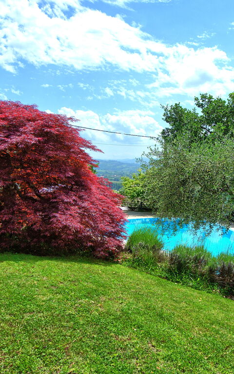 Villa Paradiso: Garden