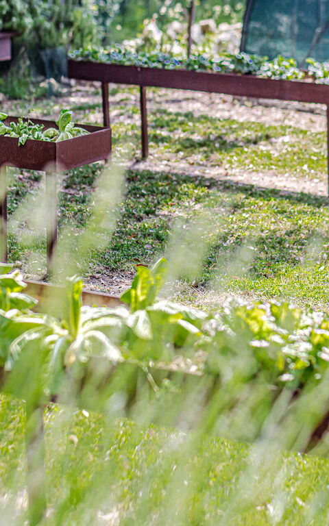 Chateau La Siroque: Building Exterior, Garden, Outdoor