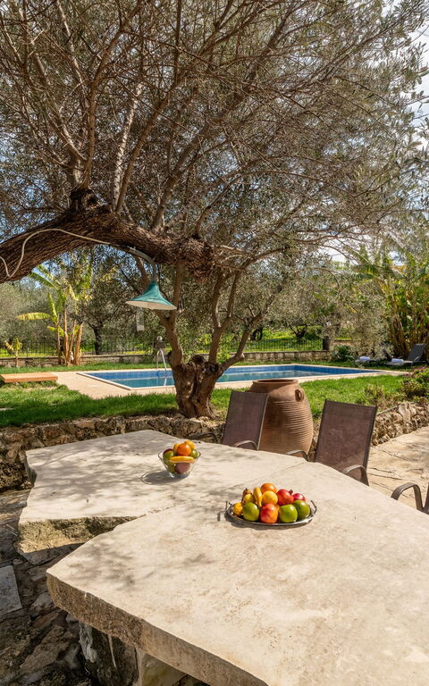 Klapas: Balcony / Terrace / Patio, Building Exterior, Garden, Pool