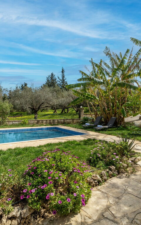 Klapas: Building Exterior, Garden, Pool