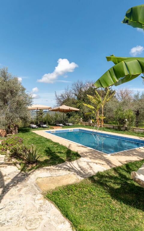 Klapas: Building Exterior, Garden, Pool