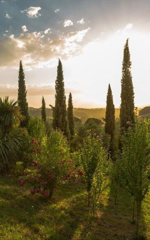 Leccino: Building Exterior, Garden, Outdoor, Scenic View