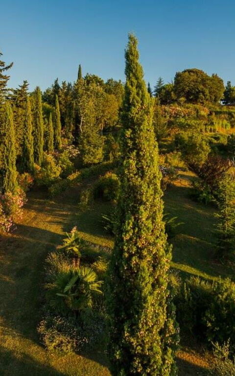 Leccino: Building Exterior, Outdoor, Scenic View