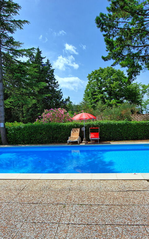 Leccino: Garden, Outdoor, Pool