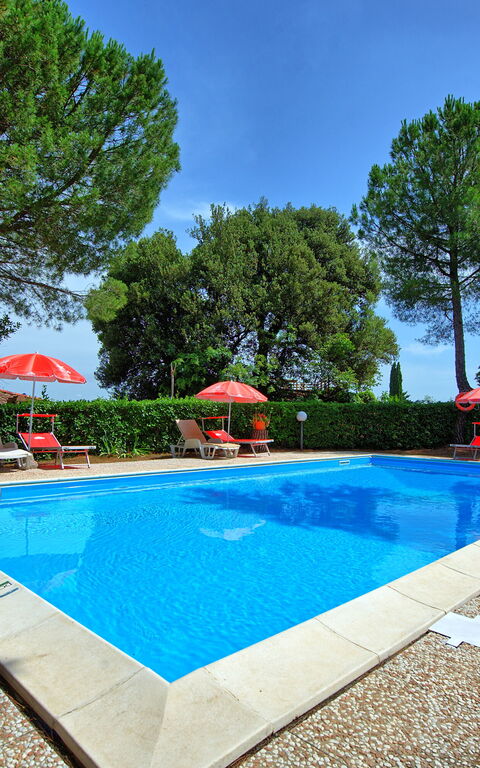 Leccino: Garden, Outdoor, Pool