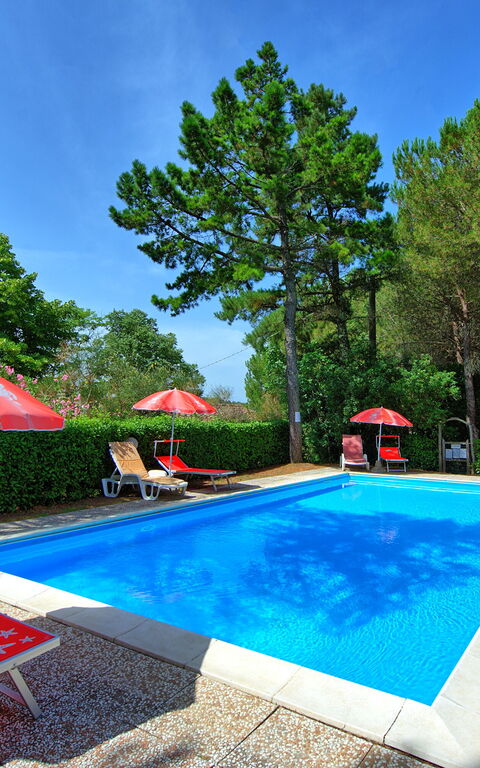 Leccino: Garden, Outdoor, Pool