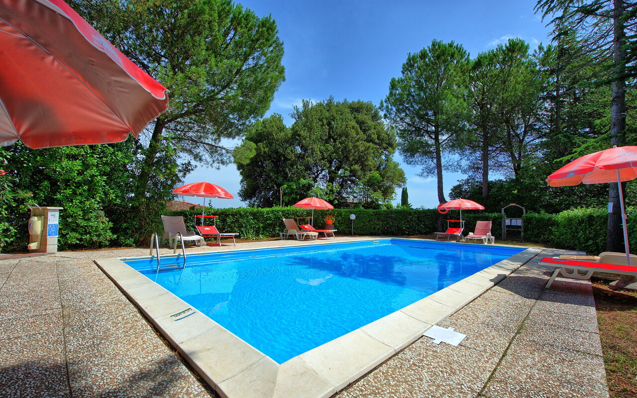 Leccino: Garden, Outdoor, Pool