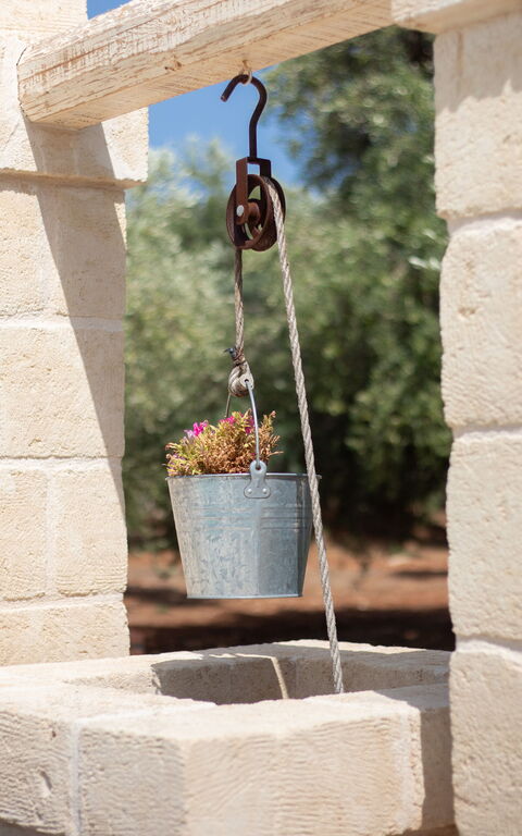 Terra Mater: Building Exterior, Outdoor