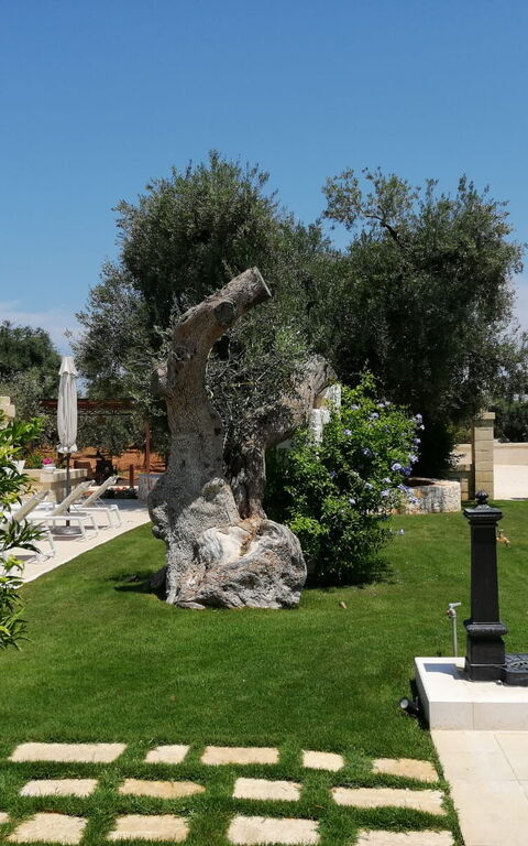 Terra Mater: Building Exterior, Garden, Outdoor