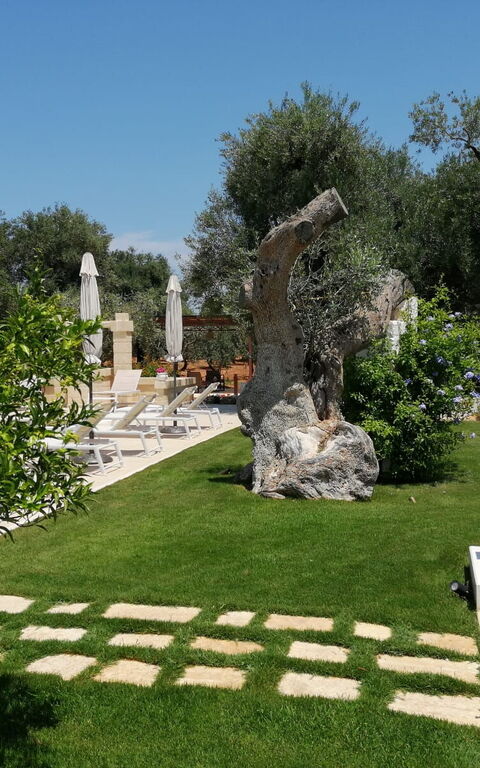 Terra Mater: Building Exterior, Garden, Outdoor