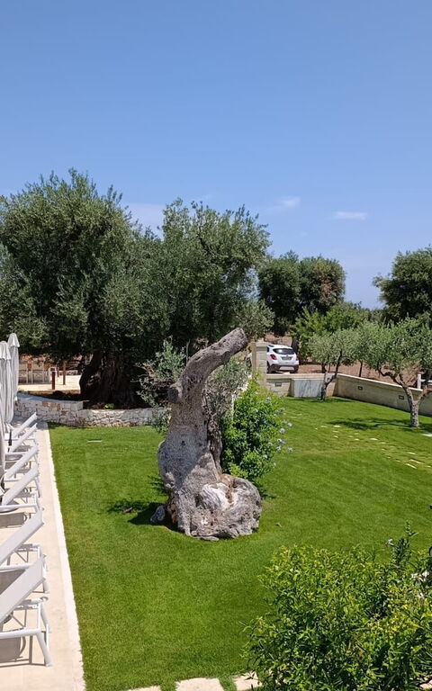 Terra Mater: Building Exterior, Garden, Outdoor, Pool