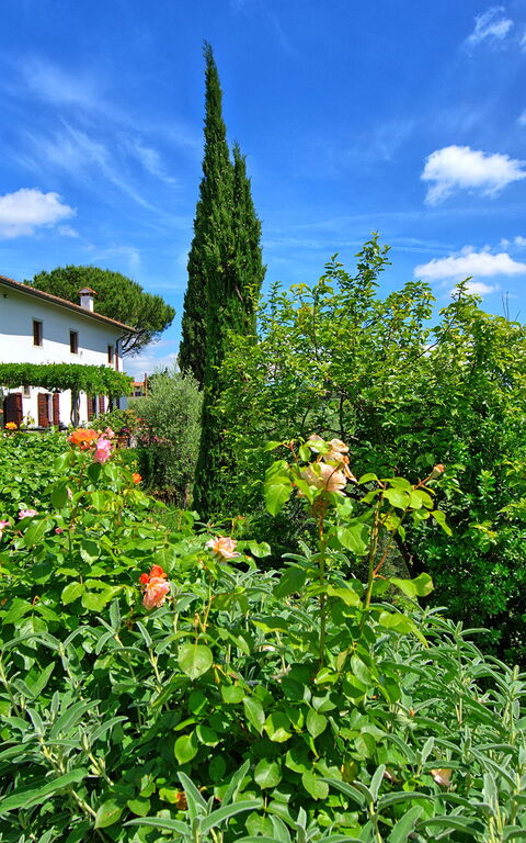 Villa Mami: Garden, Outdoor