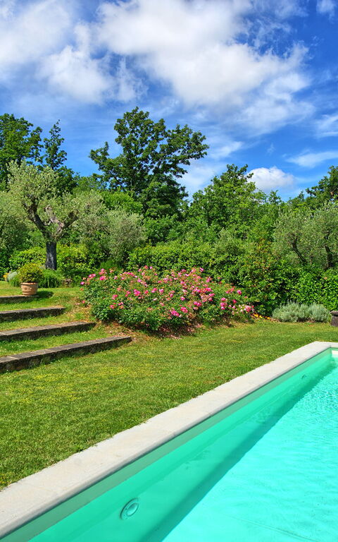 Villa Mami: Garden, Outdoor, Pool, Summer