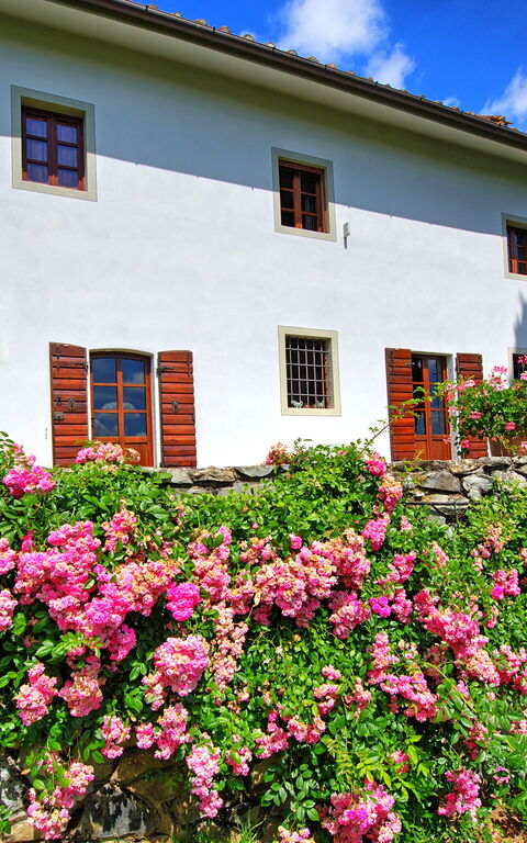 Villa Mami: Building Exterior, Garden, Outdoor