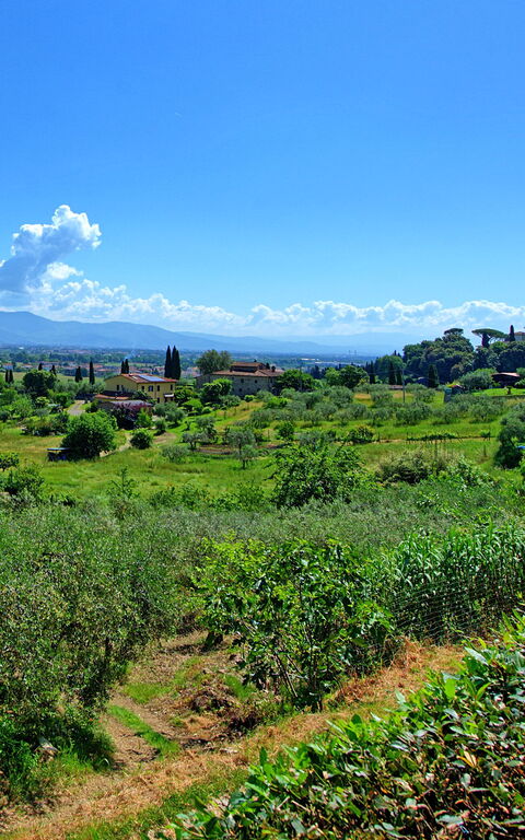 Villa Marusca: Building Exterior, Outdoor, Scenic View
