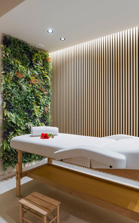 Villa Castalia: Wellness