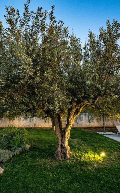 Villa Virginia: Building Exterior, Garden, Outdoor