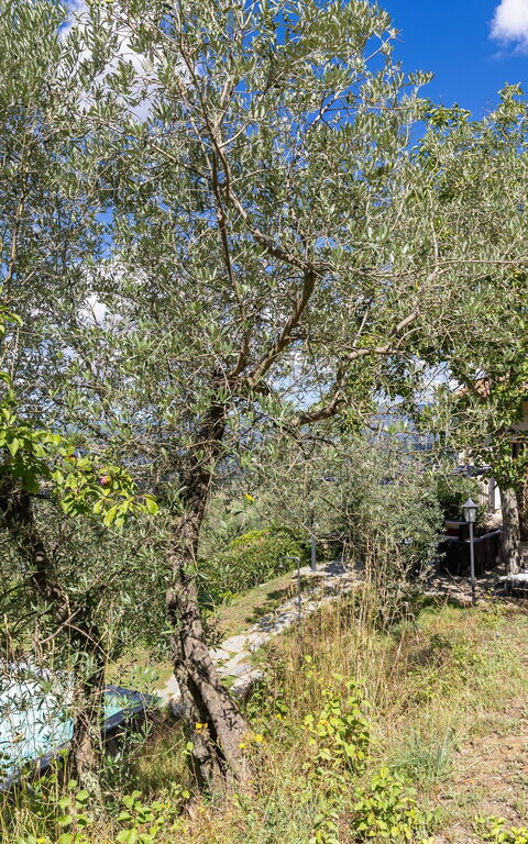 Villanova Lonciano - 2026: Building Exterior, Garden, Outdoor