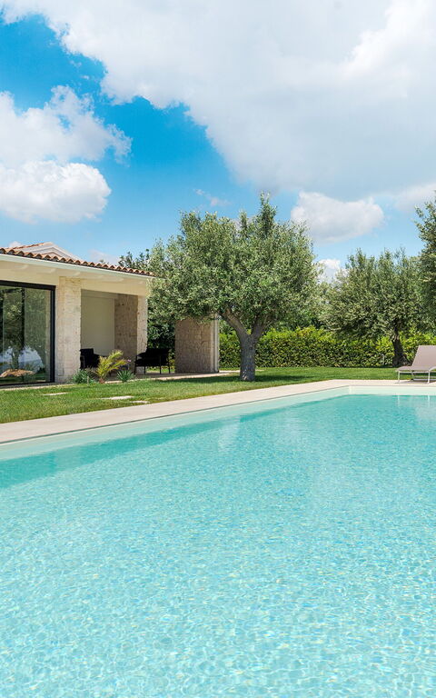 Netina Domus: Outdoor, Pool